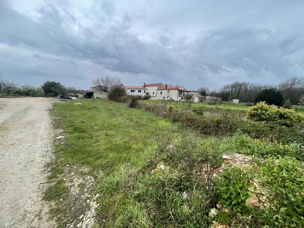 Građevinsko zemljište, Istra, brtonigla, 1315m2! 60€/m2! 