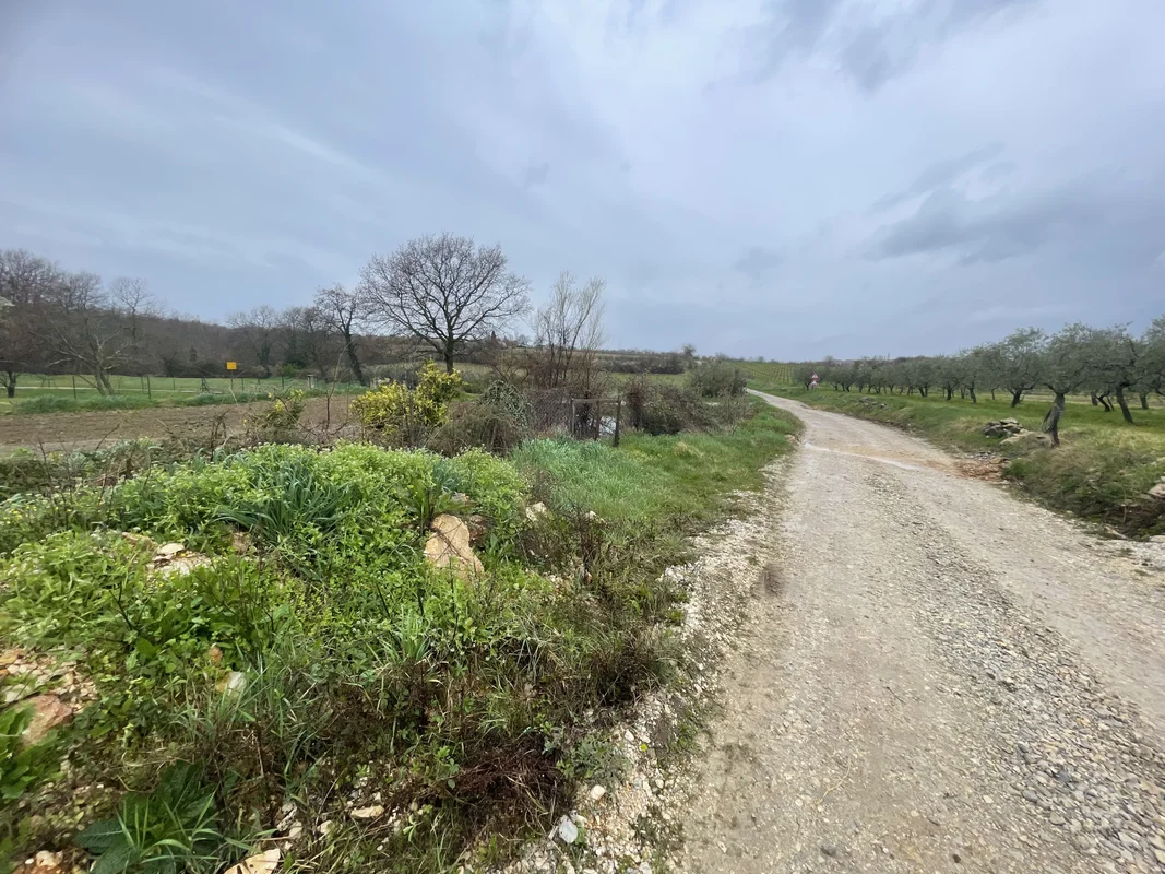 Građevinsko zemljište, Istra, brtonigla, 1315m2! 60€/m2! 