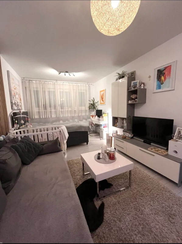 Kompletno uređen stan 38 m² u prizemlju Voltino