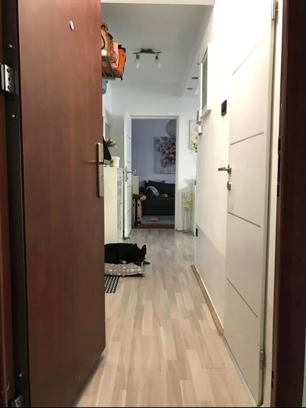 Kompletno uređen stan 38 m² u prizemlju Voltino